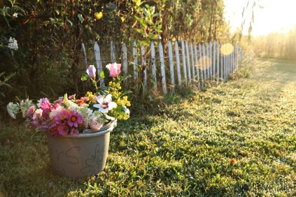 bucket of flowers at fence